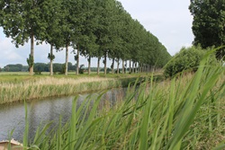 natuur